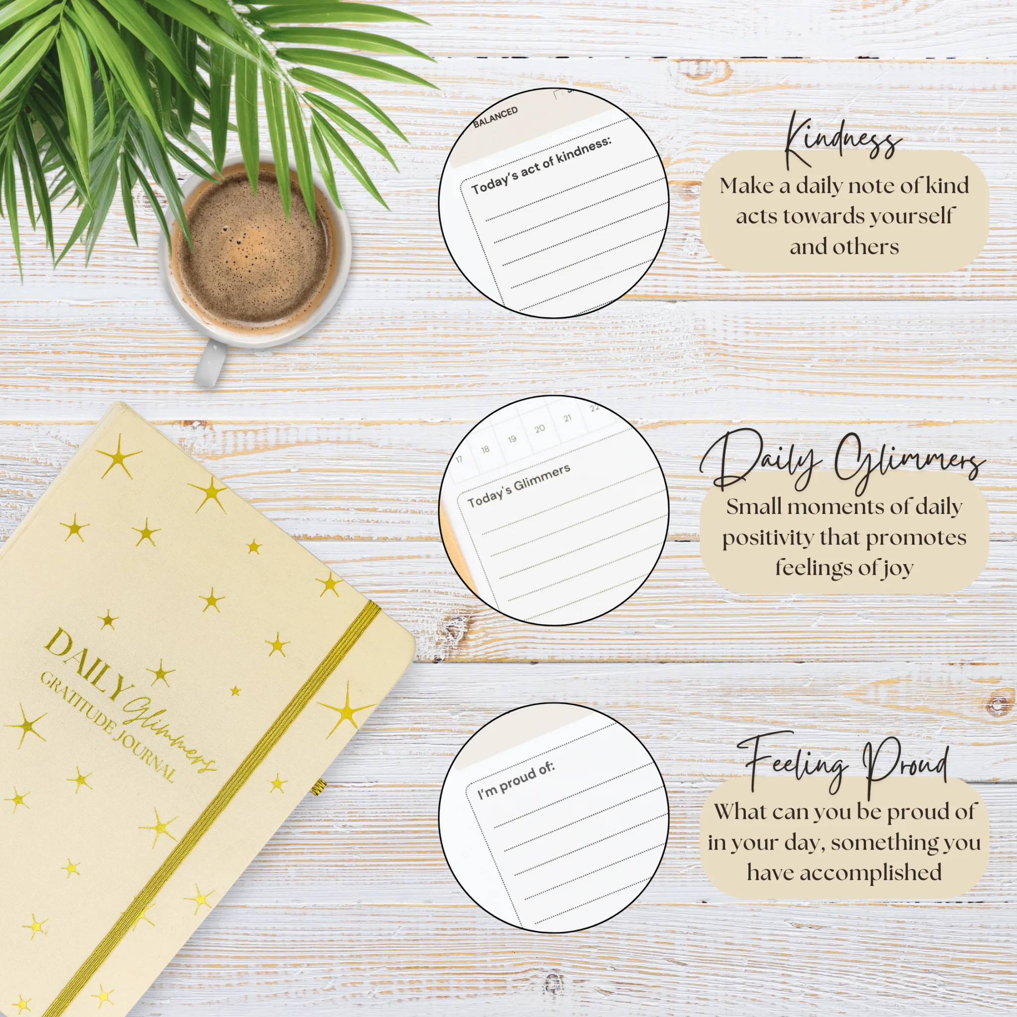 infographic-book-features